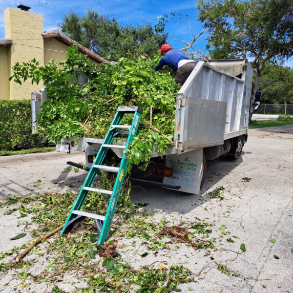 junk removal Miami, trash pick up Miami, Matress Removal, Miami, Iammrjunk.com